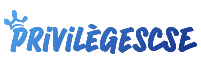 Privilege ce